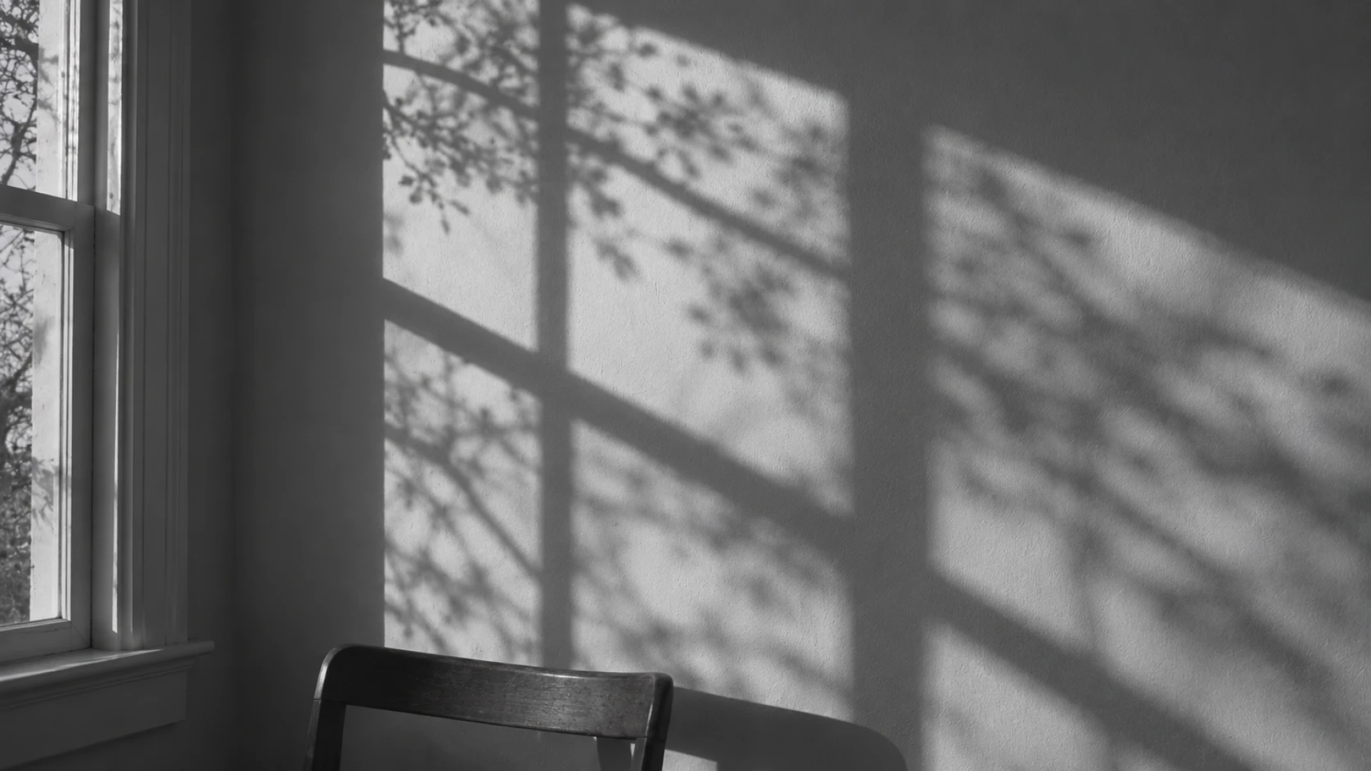 Soft overlapping shadows on a plain wall, representing the many influences that shape what we want and what we're responsible for.