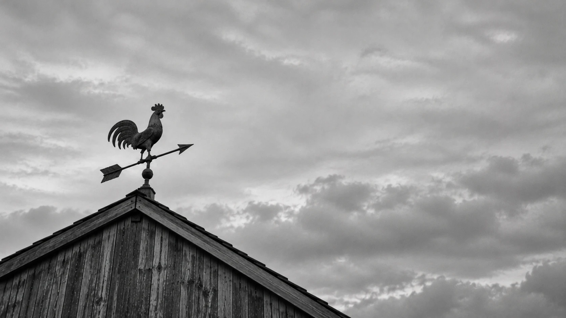 A weather vane with a rooster and an arrow on a barn roof against a pale sky, representing the question of whether a person can really change.